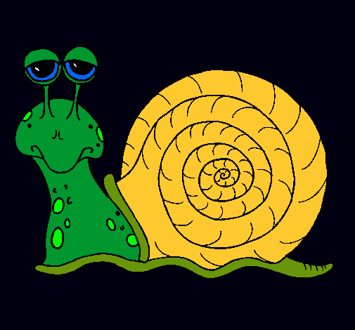 Caracol