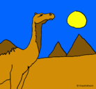 Dibujo Camello pintado por jakemete