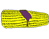 Dibujo Mazorca de maíz pintado por sars