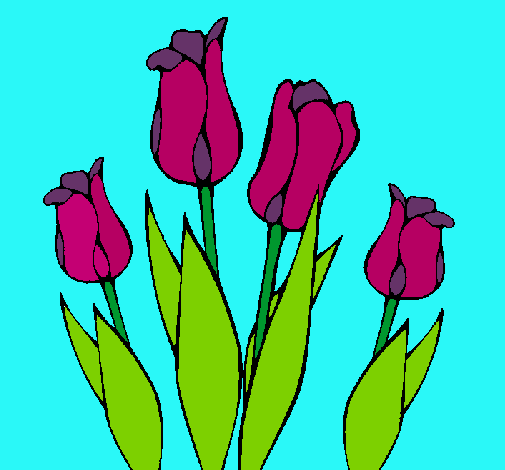 Tulipanes