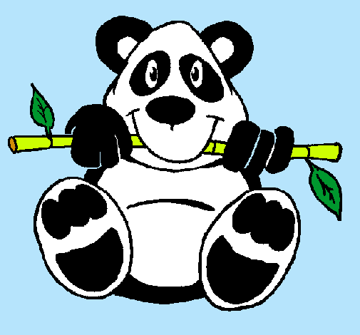 Oso panda