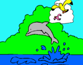 Dibujo Delfín y gaviota pintado por jhoit