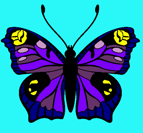 Mariposa 