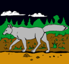 Dibujo Coyote pintado por yusuel