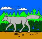 Dibujo Coyote pintado por hcgdr