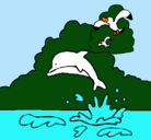 Dibujo Delfín y gaviota pintado por DELFYN