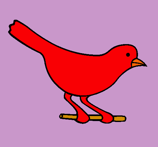 Pájaro 4