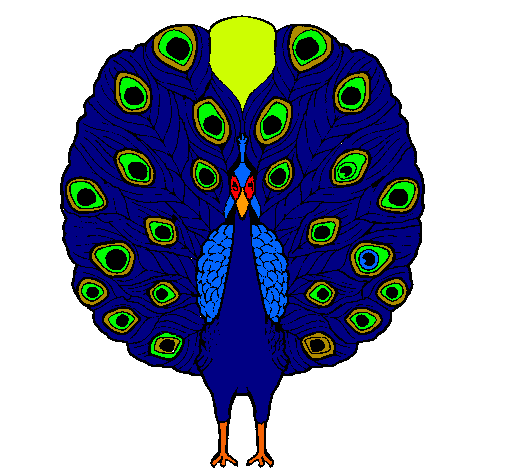 Pavo real