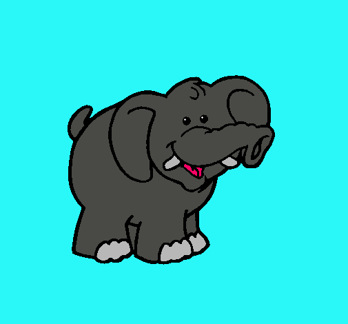 Elefante