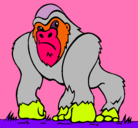 Dibujo Gorila pintado por natalilla