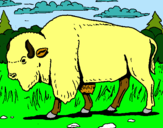 Dibujo Búfalo  pintado por adim