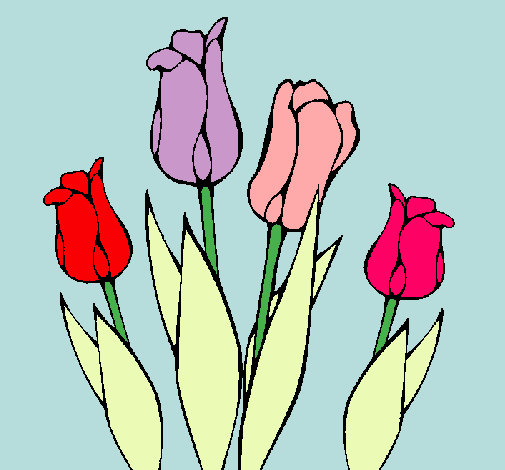 Tulipanes