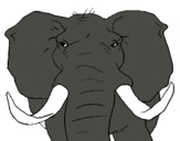Dibujo Elefante africano pintado por MatiasIsr