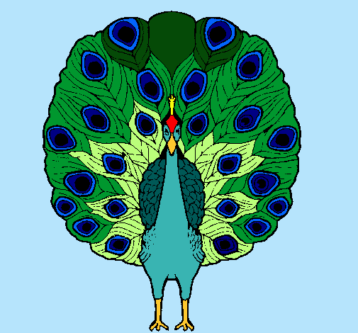 Pavo real