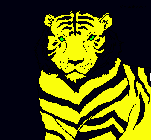 Dibujo Tigre pintado por paolo