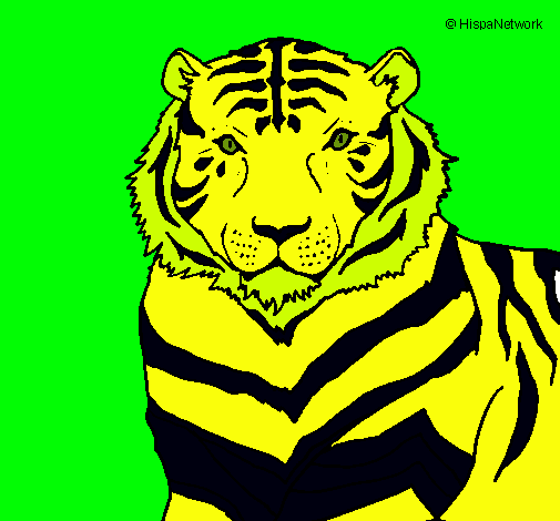 Dibujo Tigre pintado por paolo