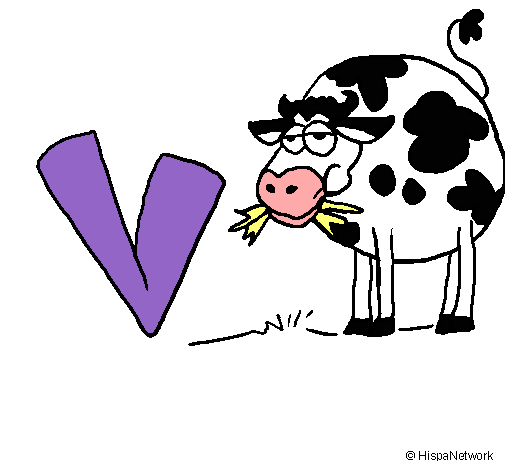 Vaca