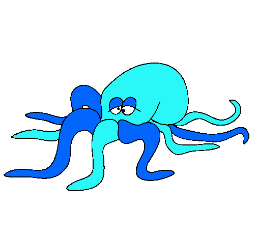 Pulpo