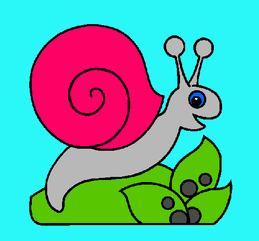 Caracol