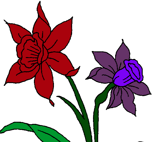 Dibujo Orquídea pintado por scarletn