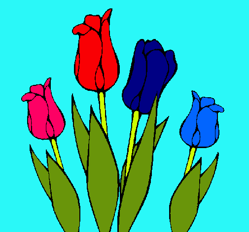 Tulipanes