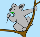 Dibujo Koala pintado por kolala