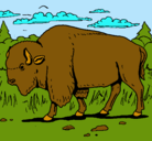 Dibujo Búfalo  pintado por amalia