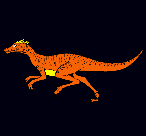 Velociraptor