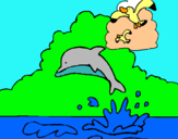 Dibujo Delfín y gaviota pintado por jygrfgbjh