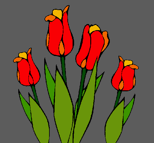 Tulipanes