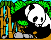 Dibujo Oso panda y bambú pintado por machin