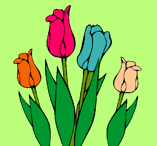 Tulipanes