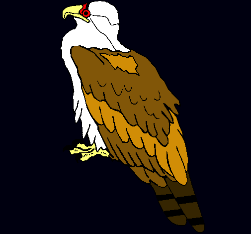 Águila