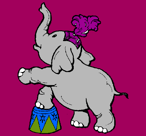 Elefante