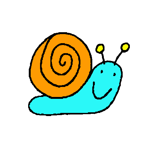 Caracol 4