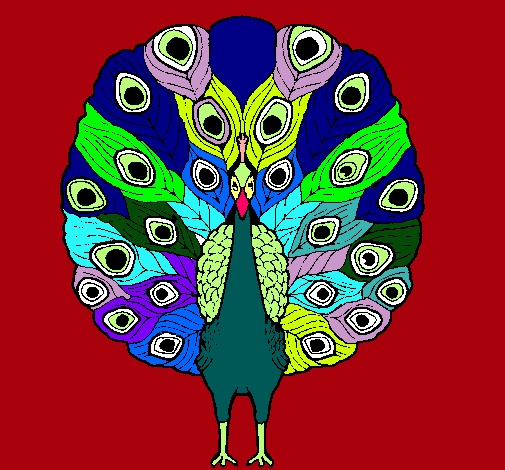 Pavo real