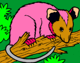 Dibujo Ardilla possum pintado por rimini