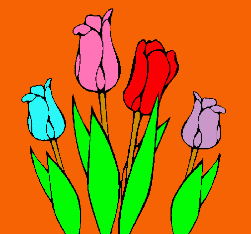 Tulipanes