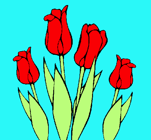 Tulipanes