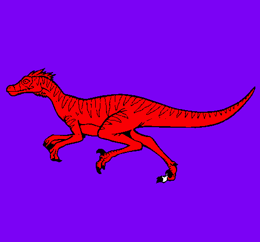 Velociraptor