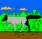 Dibujo Coyote pintado por paolo
