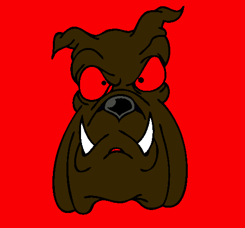 Bull dog II