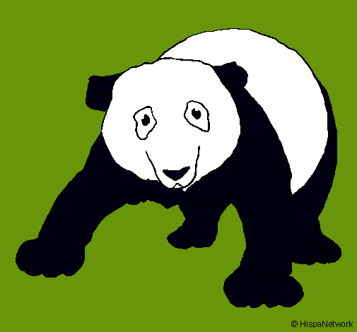 Oso panda