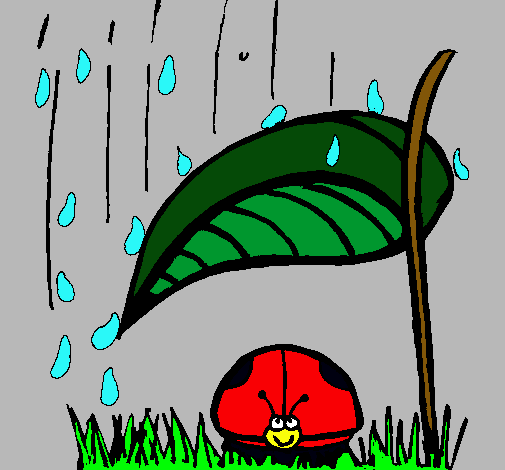 Mariquita protegida de la lluvia