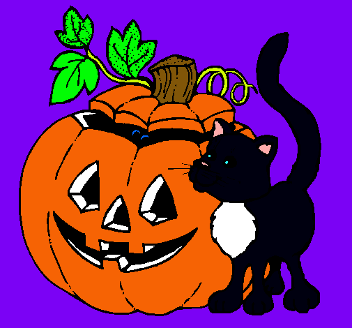 Calabaza y gato