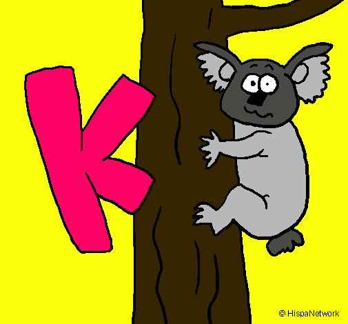 Koala