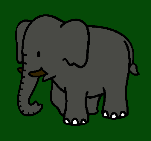 Elefante bebe