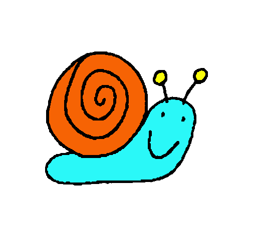 Caracol 4