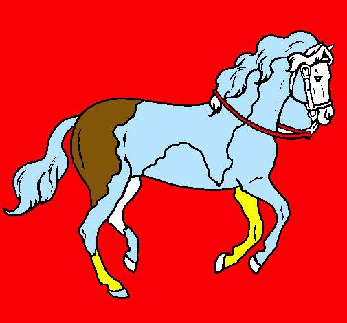 Caballo 5