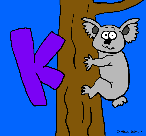 Koala